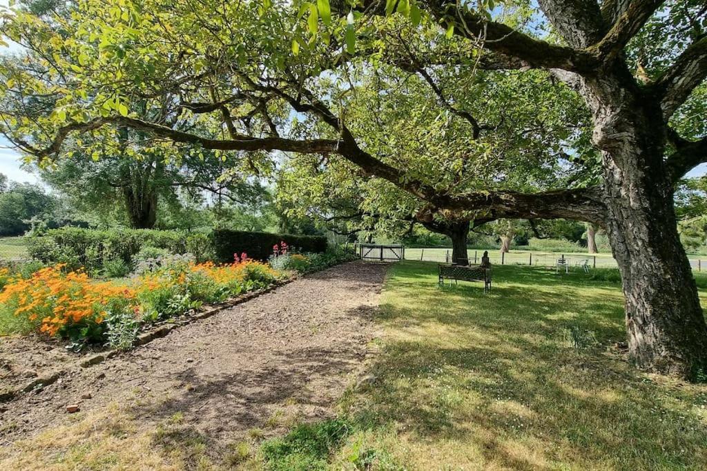 Les Noyers Monestois Entre Cher Et Canal De Berry Mennetou-sur-Cher Exterior photo