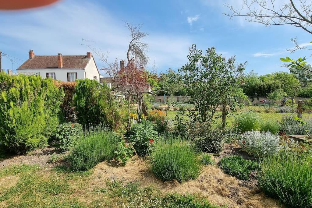 Les Noyers Monestois Entre Cher Et Canal De Berry Mennetou-sur-Cher Exterior photo